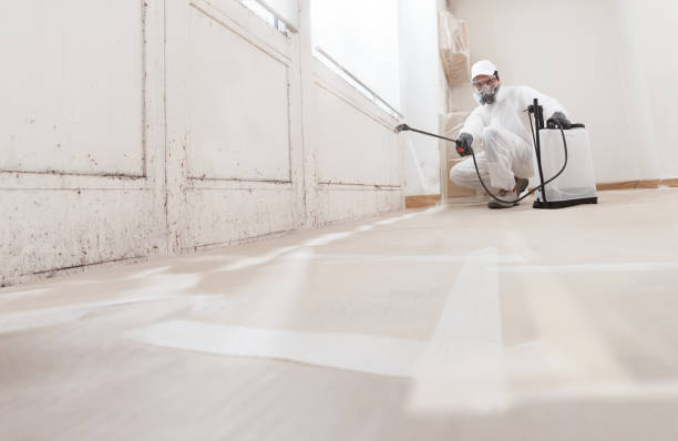 24/7 Emergency Black Mold Remediation experts in Kingston, TN